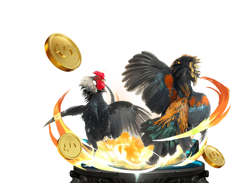 Hình ảnh giới thiệu thương hiệu Đá Gà Thomo C2