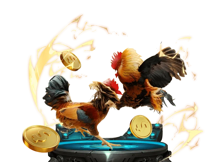 Lịch sử phát triển đá gà Thomo C2